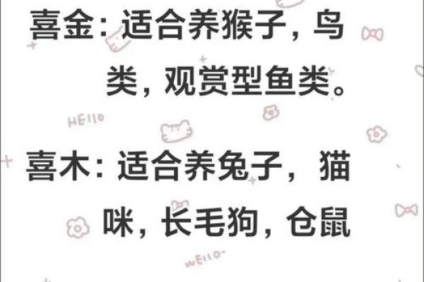 八字喜木