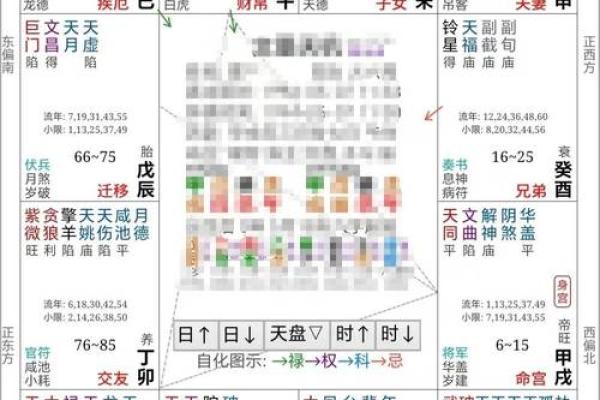 紫薇斗数绝胎养