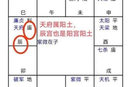 图文命盘算命