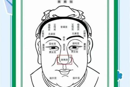 面相风水鼻头大的男人好不好是长寿命吗