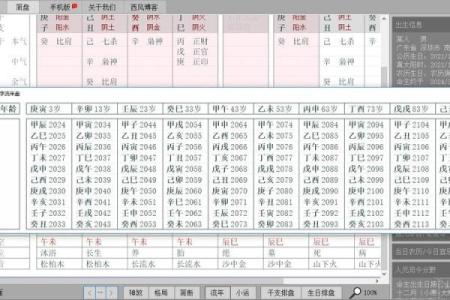 排八字软件下载