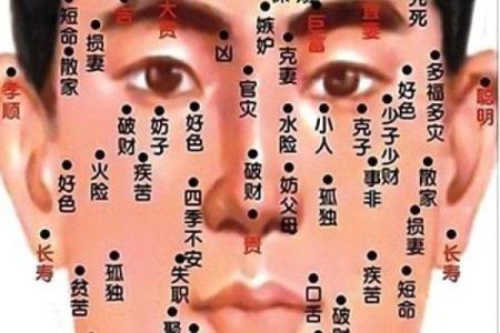 看鼻子面相算命大全