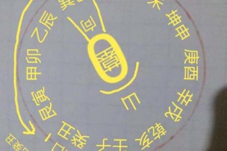 紫微斗数之流星的看法，流年岁前十二神吉凶断：官符