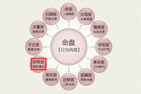 紫薇斗数博士入财帛