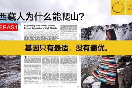 尹烨：为什么我不建议你算命，因为算命是混沌系统！