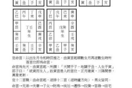 飞星紫微斗数原旨