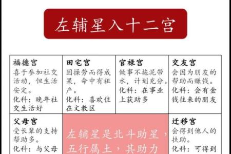 紫薇斗数可以看什么