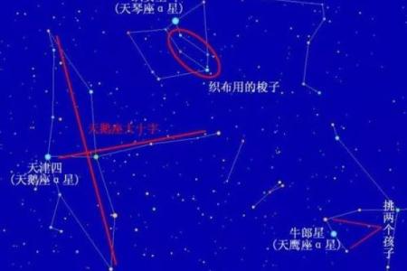 牛郎织女分别指哪两个星座女