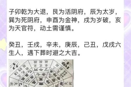 紫薇斗数绝胎养