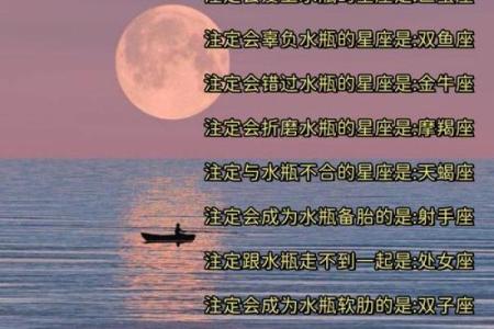 水瓶座的合适星座