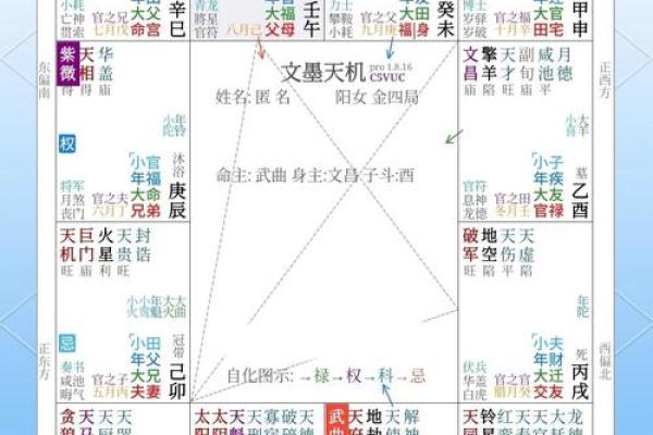 紫微斗数怎么看是小限 紫微斗数大小限的算法？