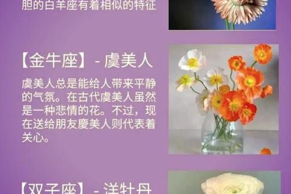 十二星座分别代表的花都有哪些呢