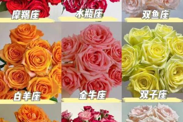 十二星座分别代表的花都有哪些呢