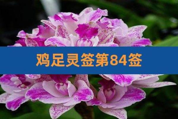 鸡足灵签3签