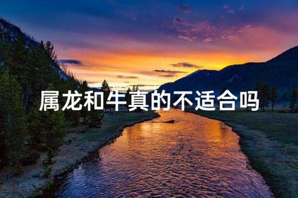 属龙和属牛的八字合吗