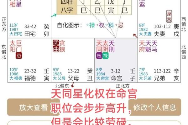 什么是紫微斗数？