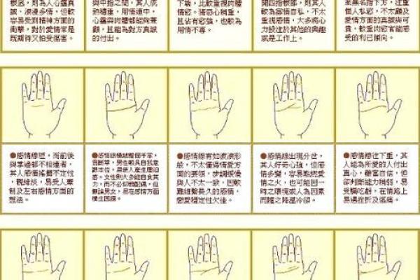 看手相算命：第二课 婚姻感情