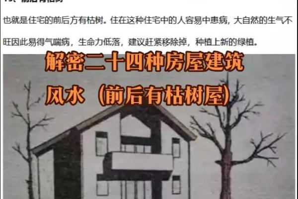 这几类不好的风水导致人老生病