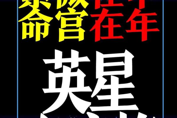 紫微斗数看美女 紫微斗数看美女格局？