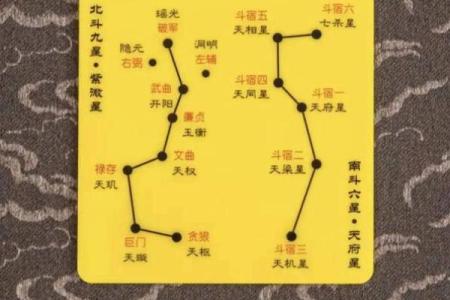 紫微斗数术语解释之：顺行与逆行