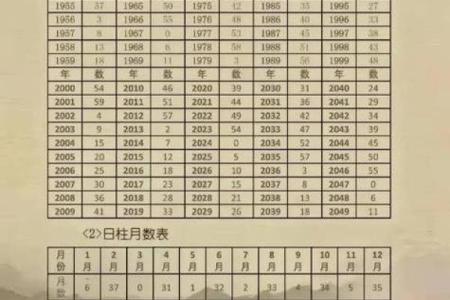 免费查自己的生辰八字