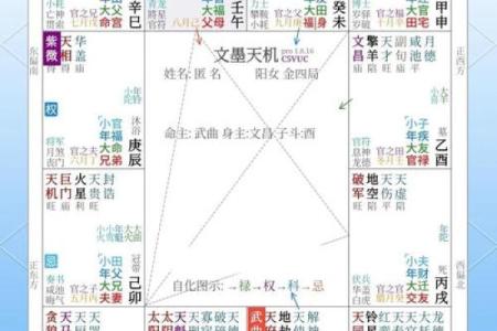 紫微斗数怎么看是小限 紫微斗数大小限的算法？