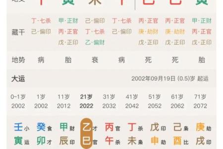 八字喜用神为木火土是什么意思