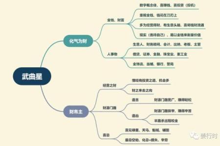 紫微斗数之子女宫与诸星，武曲星在子女宫是什么意思？