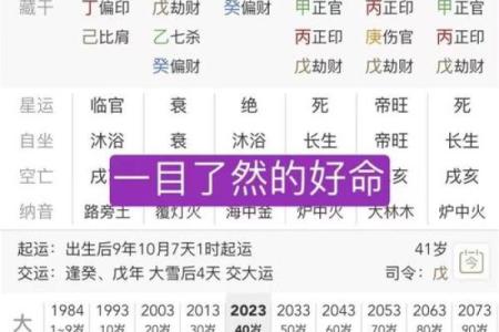 八字里面的正官,杂气正官格