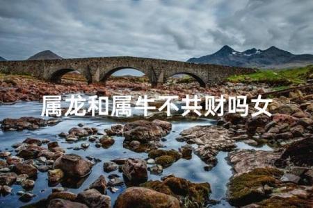 属龙和属牛的八字合吗