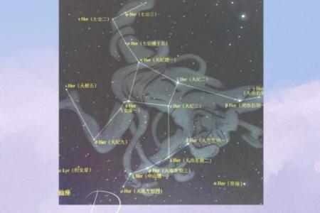 天龙座的星座传说及由来