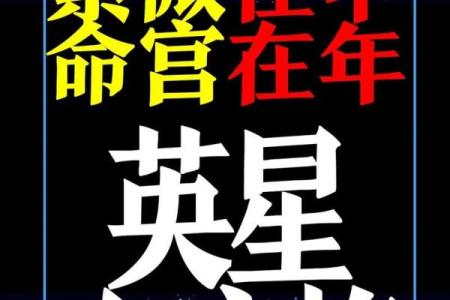 紫微斗数看美女 紫微斗数看美女格局？