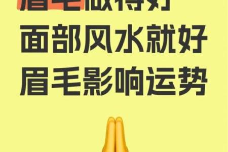刮眉毛风水