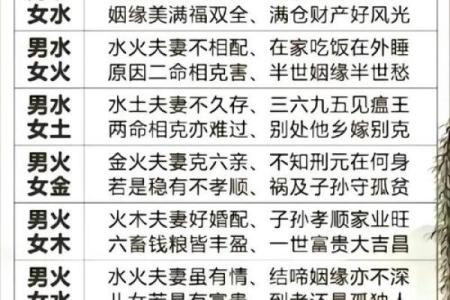 八字算命为何双胞胎的命运会出现不同的结局
