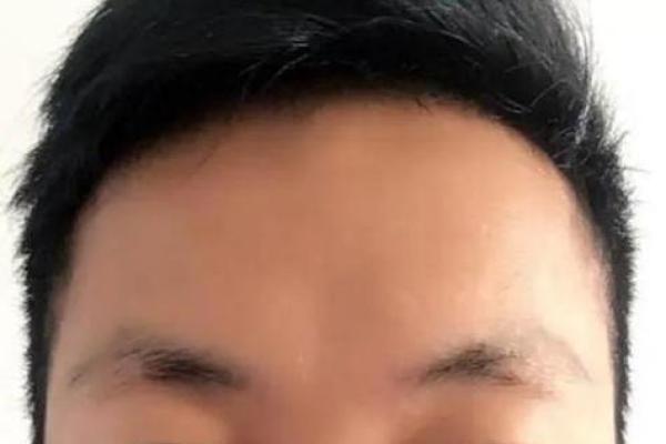 风水面相哪三种眉毛男人最好命