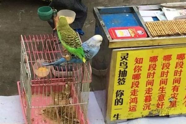 关帝灵鸟叼签