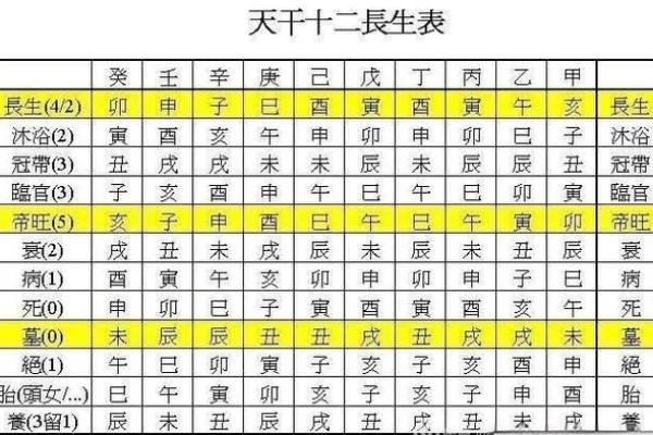 八字初学者