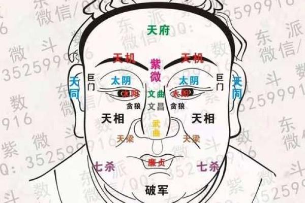 紫薇斗数中多个星哪个为主星