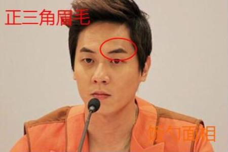 风水面相哪三种眉毛男人最好命