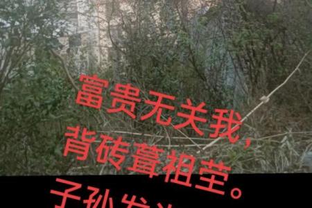 坟墓风水断子孙后代