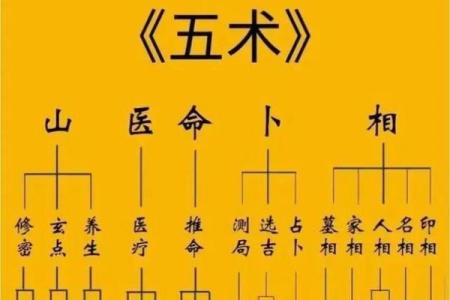 名人紫薇斗数格局