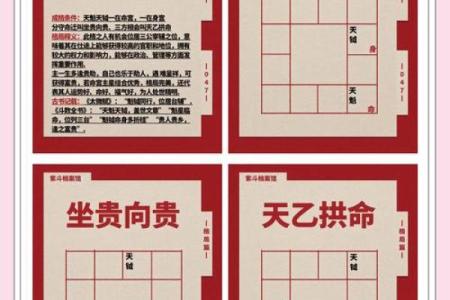 紫薇斗数命宫天魁星