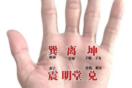 在线扫一扫测手相算命,扫一扫测手相算命免费