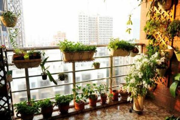 家居阳台风水知识 适合放在阳台的几种招财物