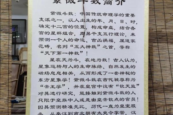 紫薇斗数文章