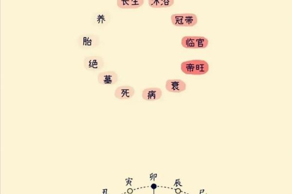 紫薇斗数看老运