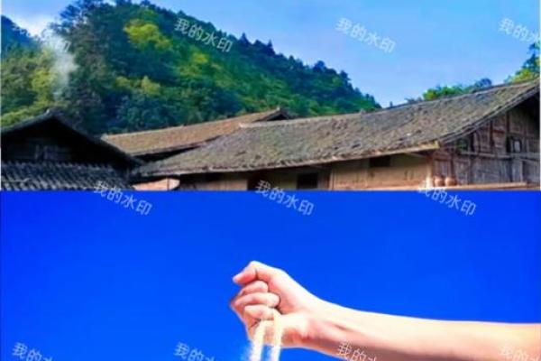 风水千万不要让孙子去上坟四种人不宜扫