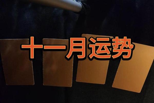 塔罗牌测试十一月健康运势