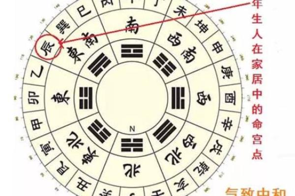 风水人物_生肖龙最厉害的地方在哪里