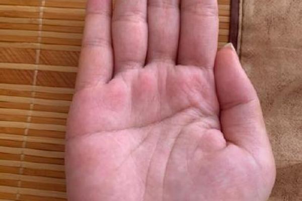 手相假断掌算命图解